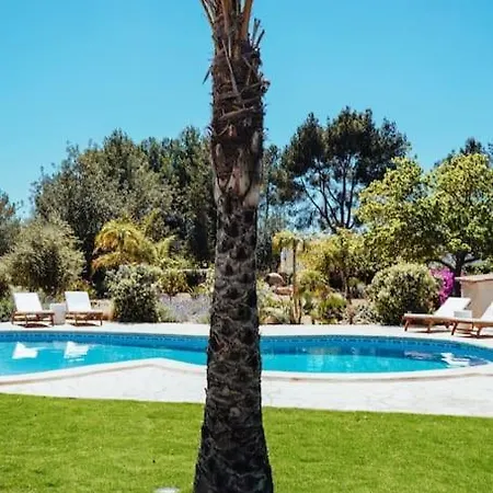 Villa 4 Palms Only 5 Minutes From Ibiza *