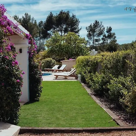4 Palms Only 5 Minutes From Ibiza Villa Montecristo