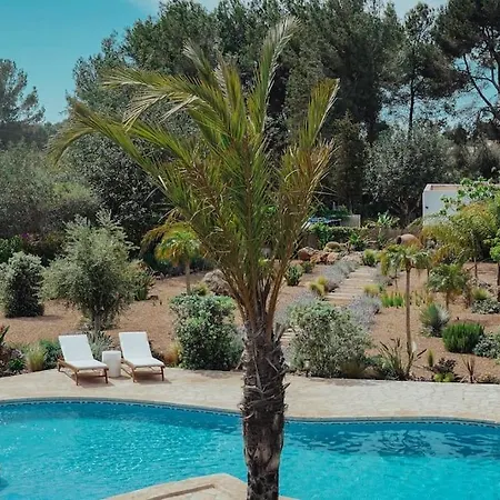 4 Palms Only 5 Minutes From Ibiza